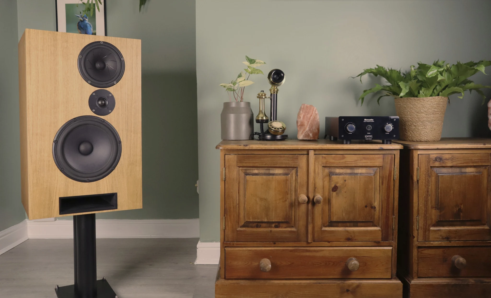 A single Cwen loudspeaker beside a home hi-fi system and plants