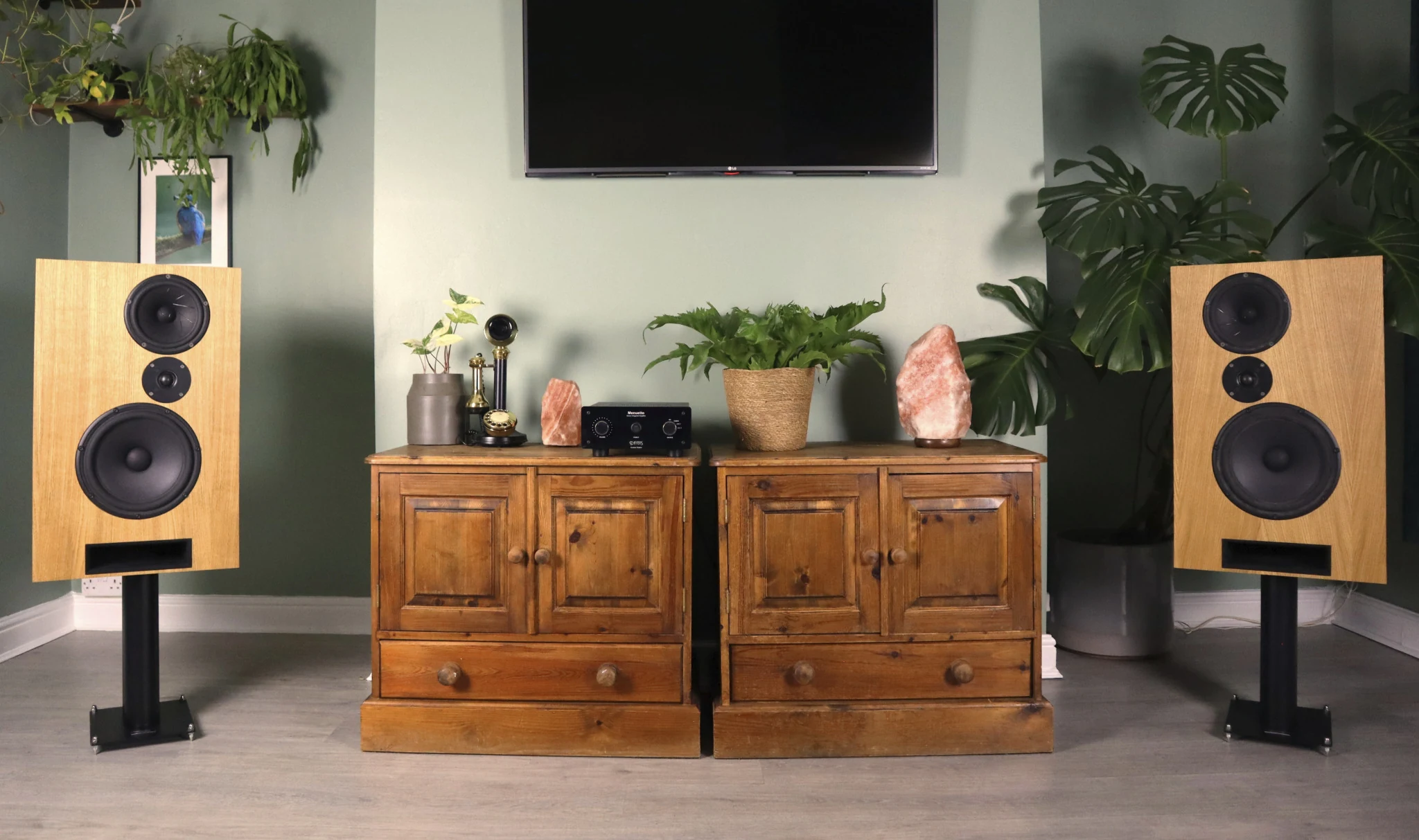 A pair of MÆRE Cwen loudspeakers in a green listening room