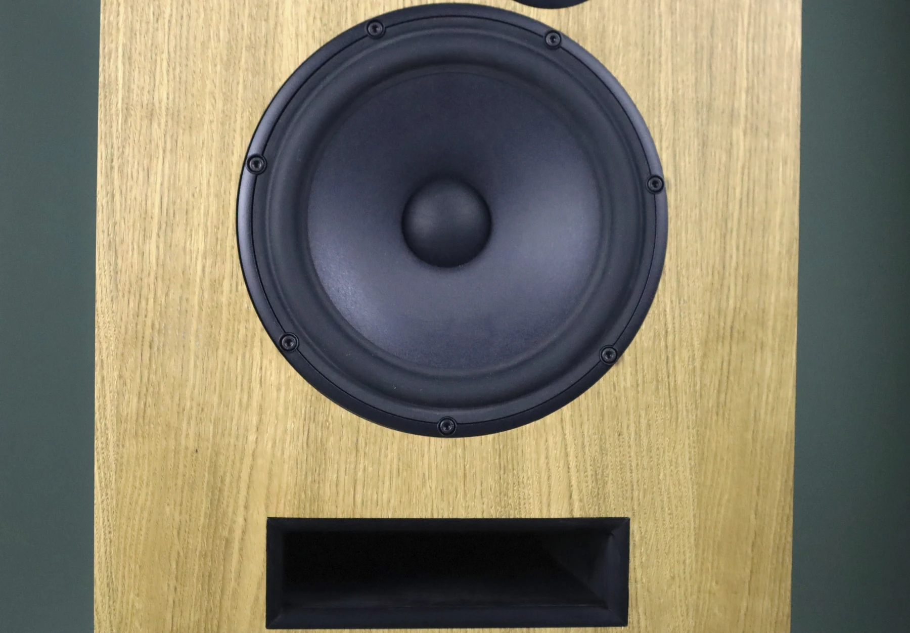 Close view of the Cwen bass driver and front slot port